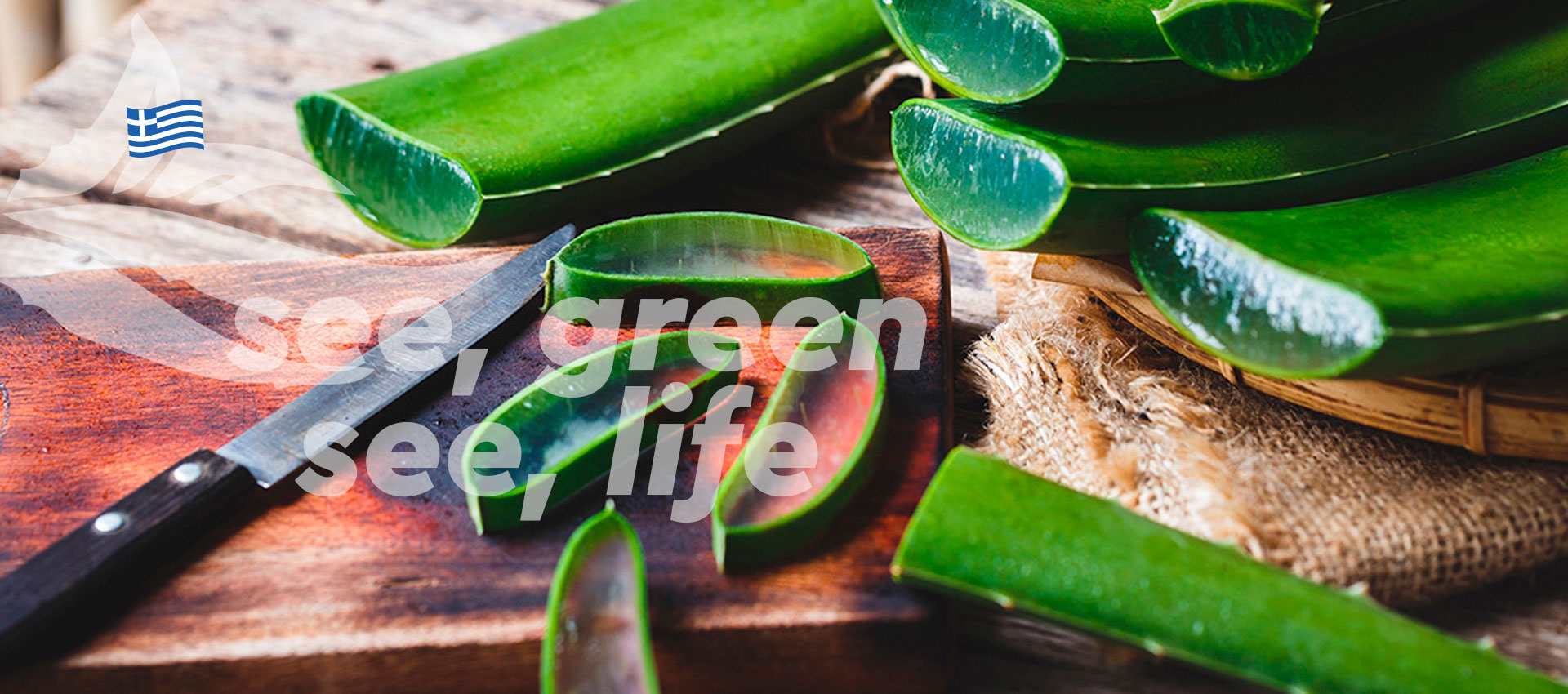 Aloe Vera Hellas